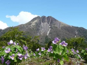 群馬県　奥白根山